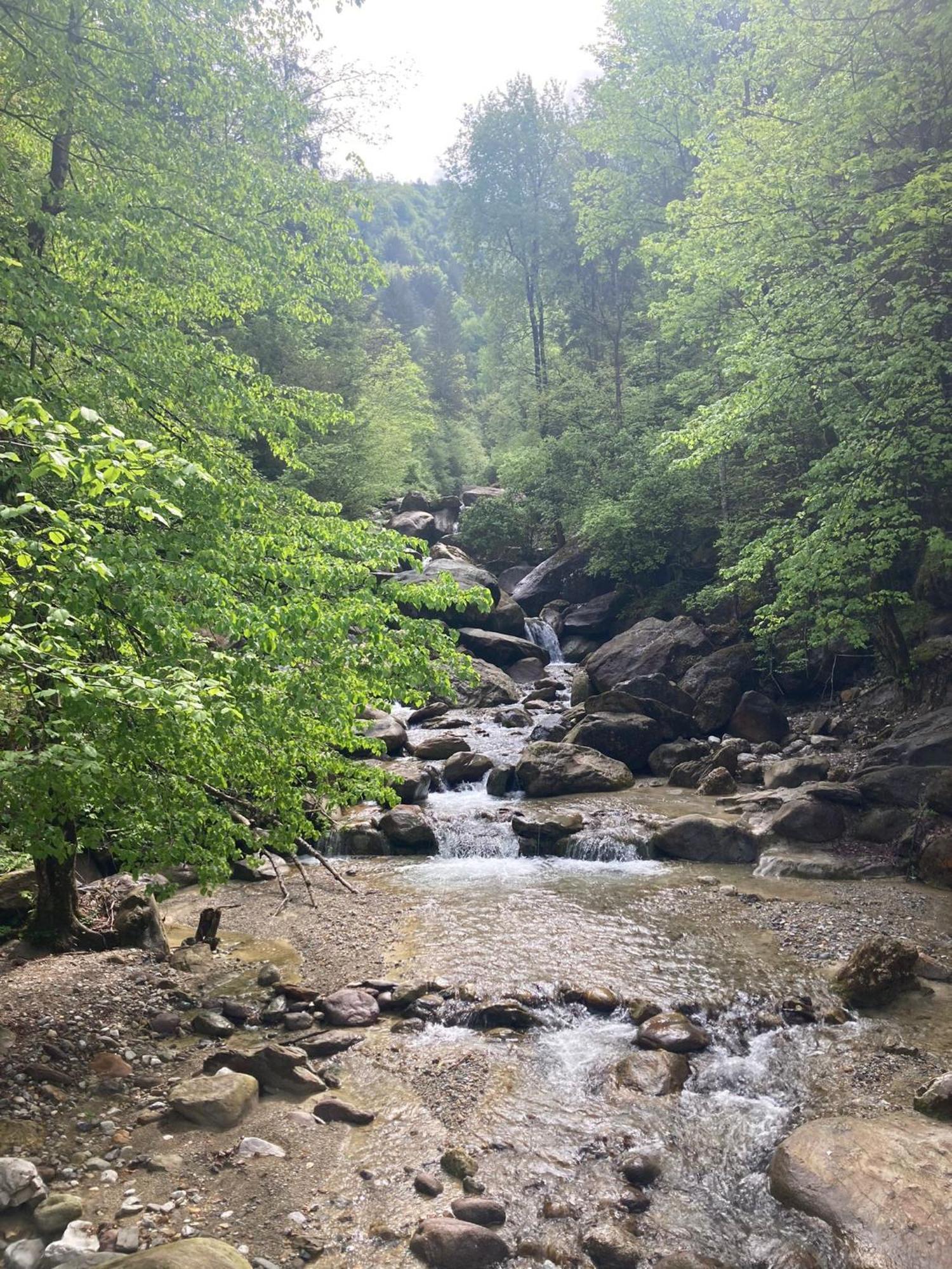 Ortighera Monolocale Relax Sulla Ciclabile Lenna Εξωτερικό φωτογραφία